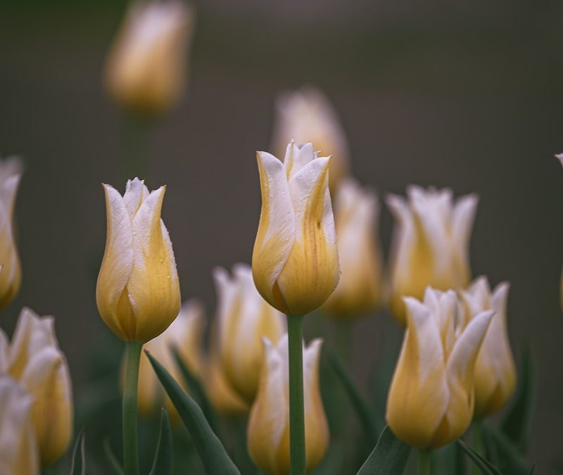 Coping With Grief After Losing a Loved One