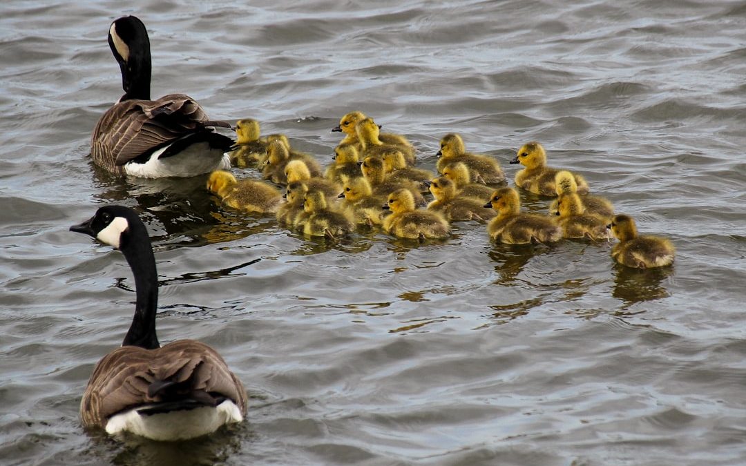 5 Things to Work on Before Becoming a Parent